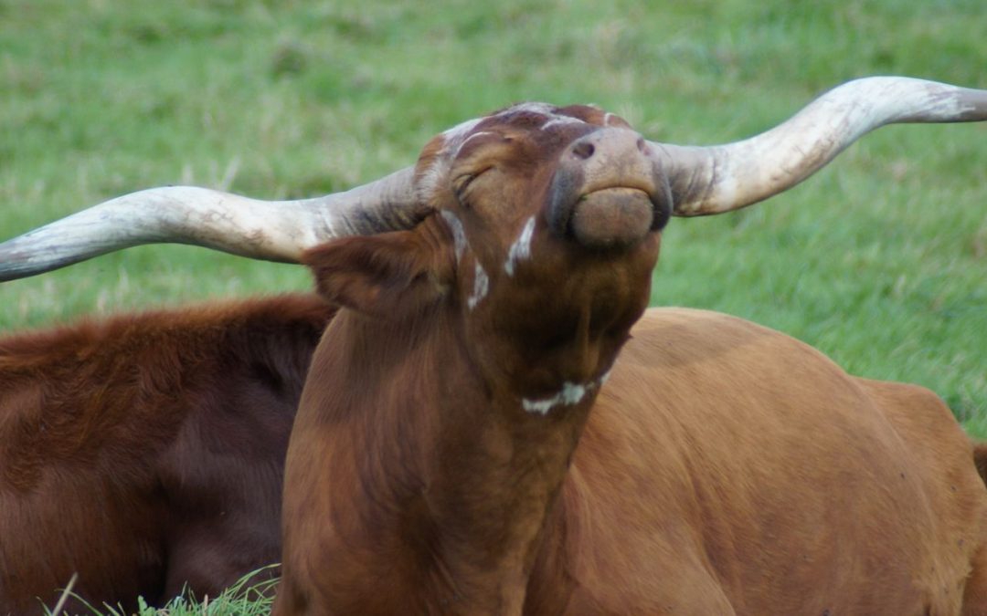 About Us: A Road Less Traveled!