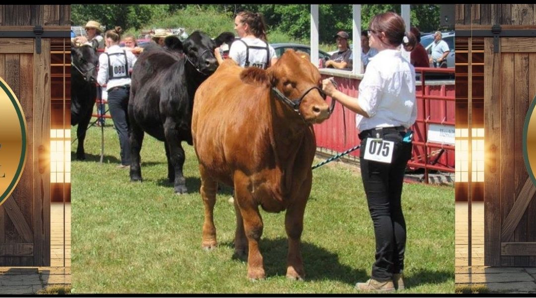 Avonmore Fair Showcase