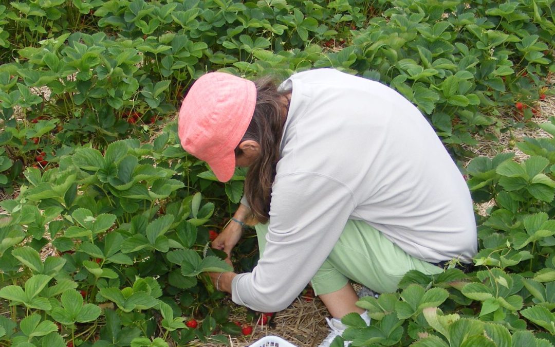 What is Agritourism?