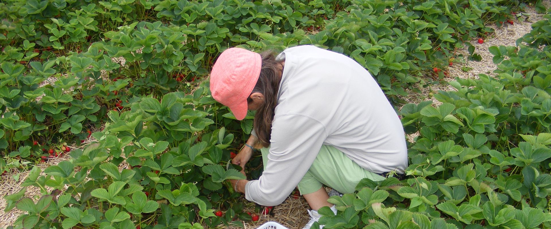 What is Agritourism?