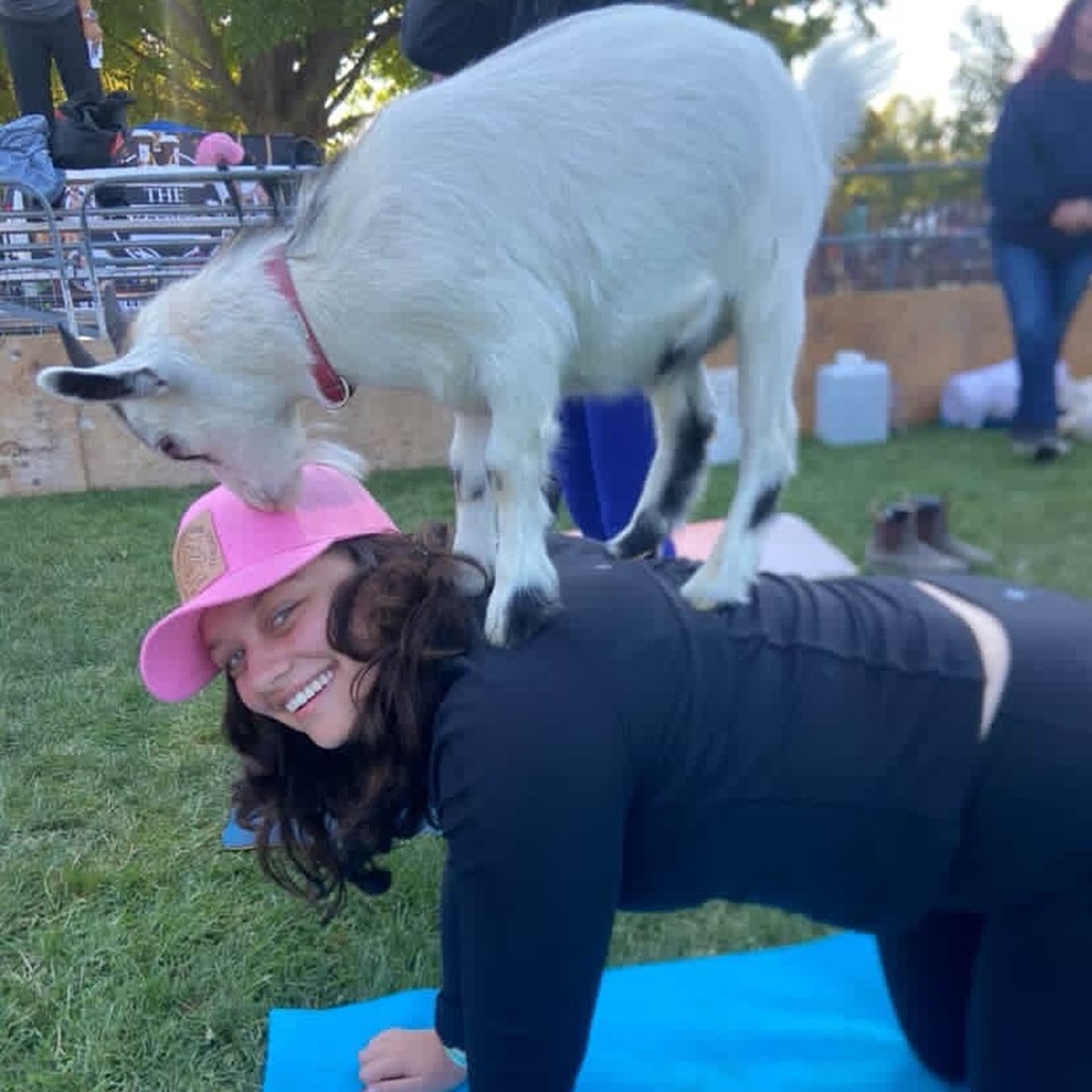 Acton Fall Fair - Goat Yoga?