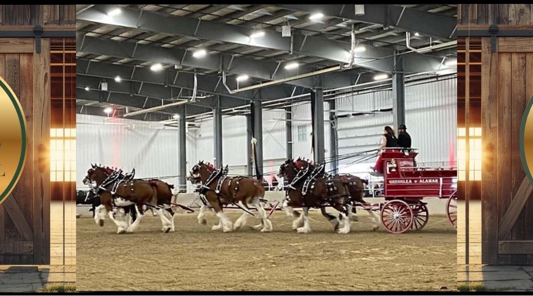 Ancaster Fair Showcase