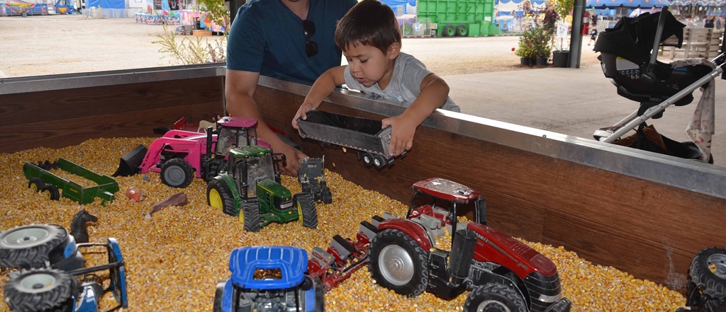 Future Farmer at work, at the Barrie Fair