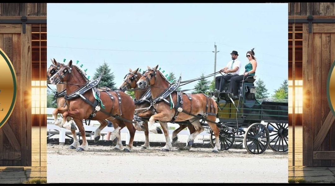 Barrie Fair Showcase