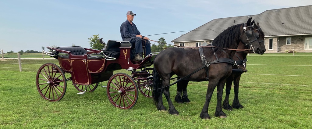 2 Hitch Horse and wagon at the Bayfield Fair