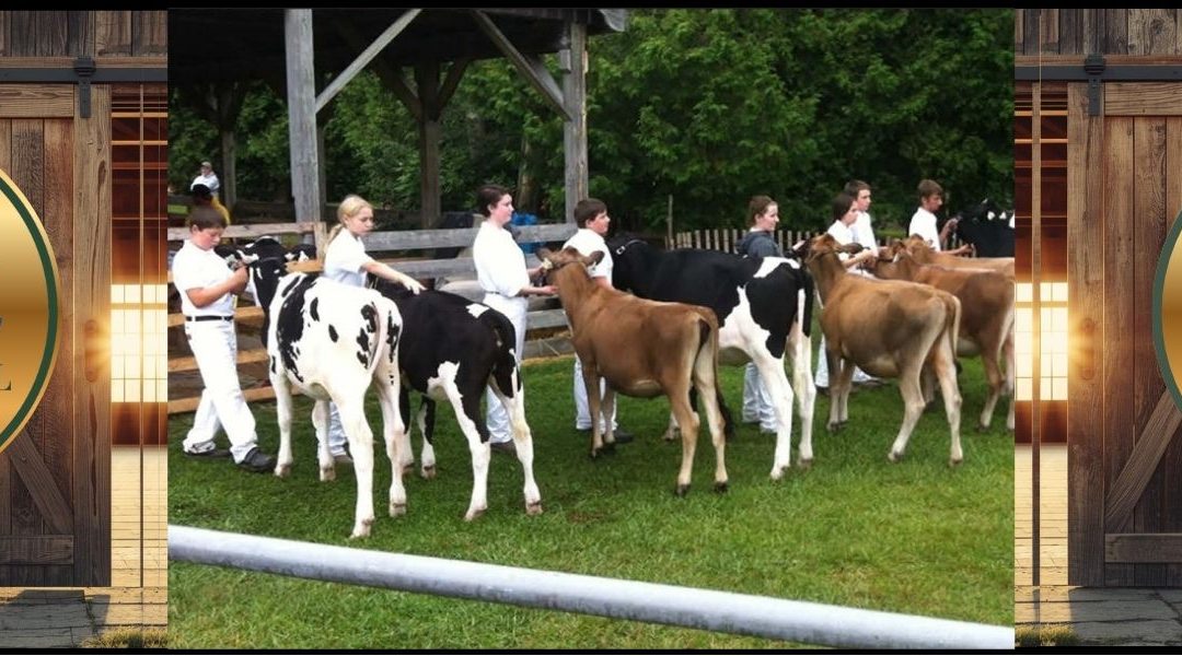 Bayfield Fair Showcase