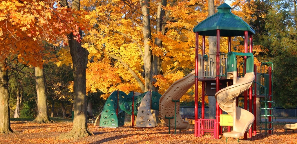 Fall Day in the Park