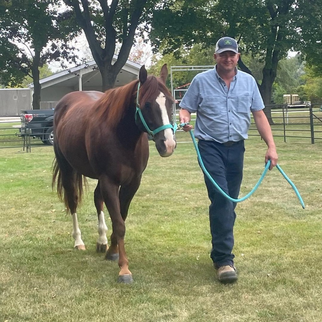 Acton Fall Fair - Horse Show