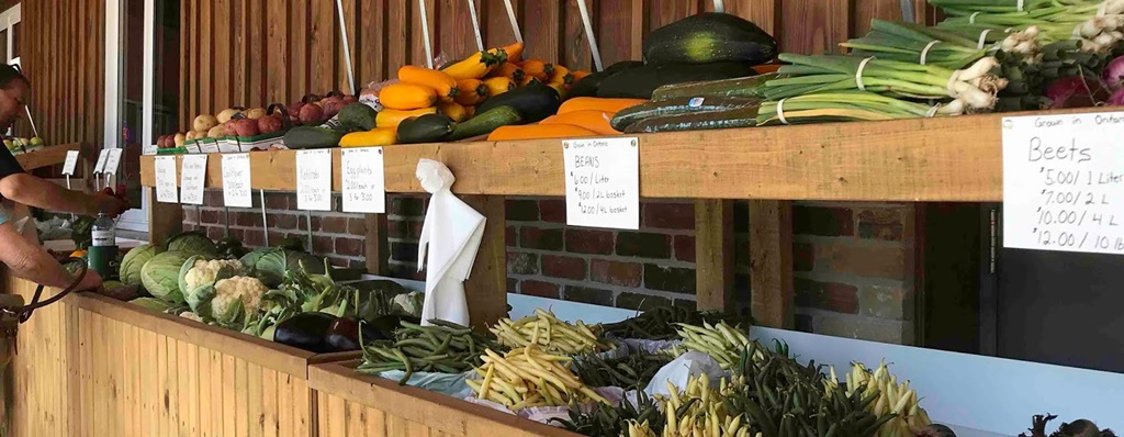 Misty Meadows Market