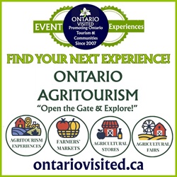 Belleville Farmers Market Downtown Year-Round