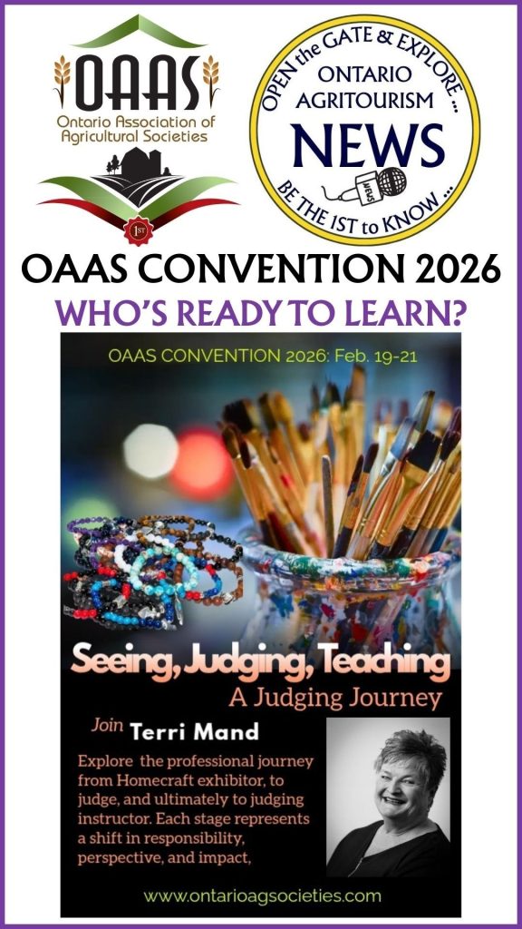 Seeing, Judging, Teaching - OAAS Convention 2026
