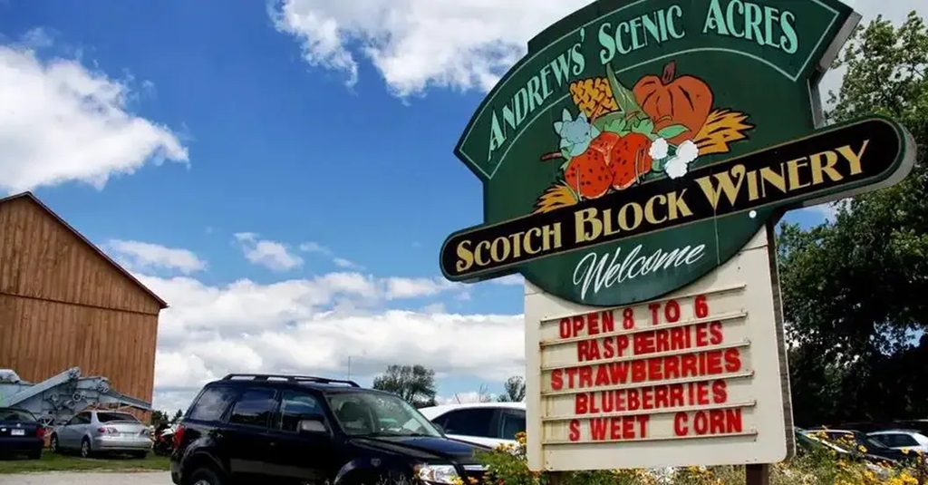 Welcome to the Farm - Andrews Farm