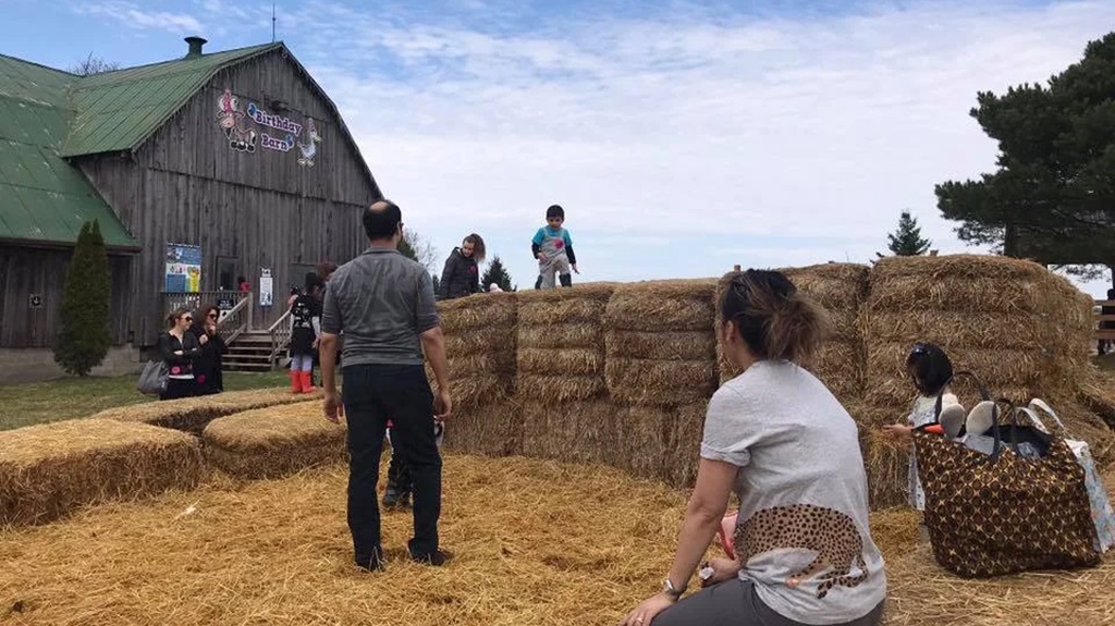 Fun at the Farm - Brooks Farm