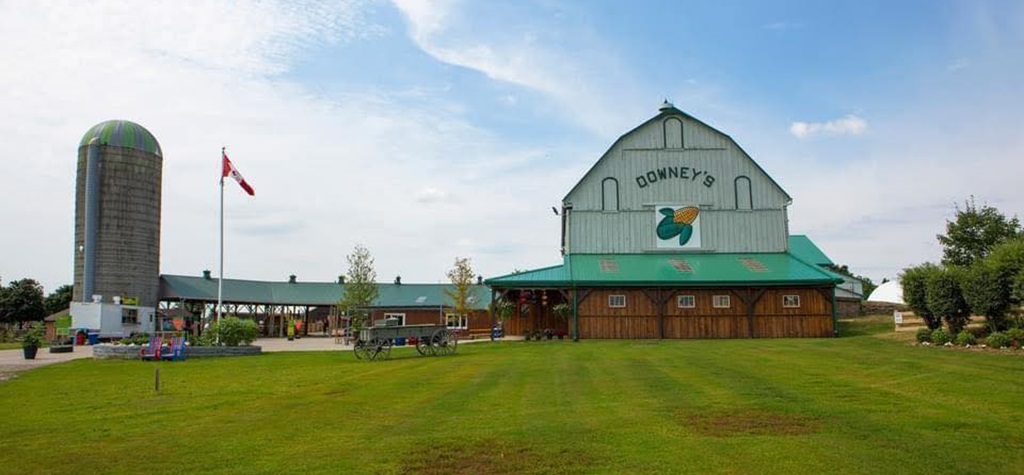 Our Farm - Downey's Farm