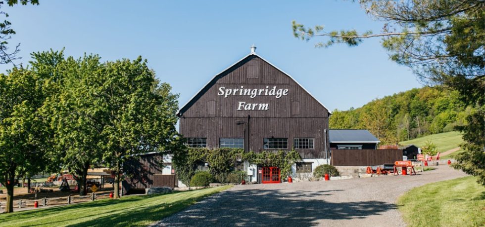 Springridge Springridge Farm Fun Farmyard Showcase | Ontario Agritourism