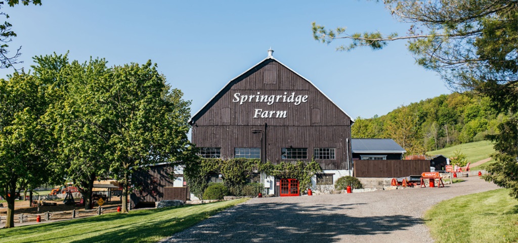 Welcome to our Farm - Springridge Farm