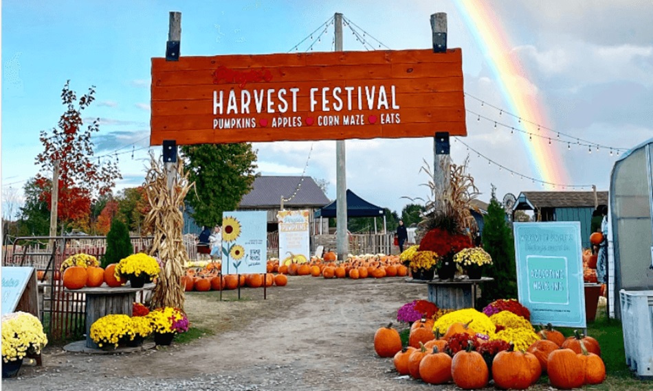 Welcome to the Festival - Pringle's Harvest Festival