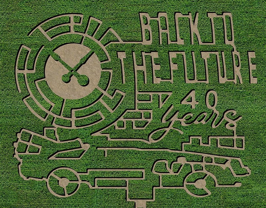 Our Maze - Downey's Farm