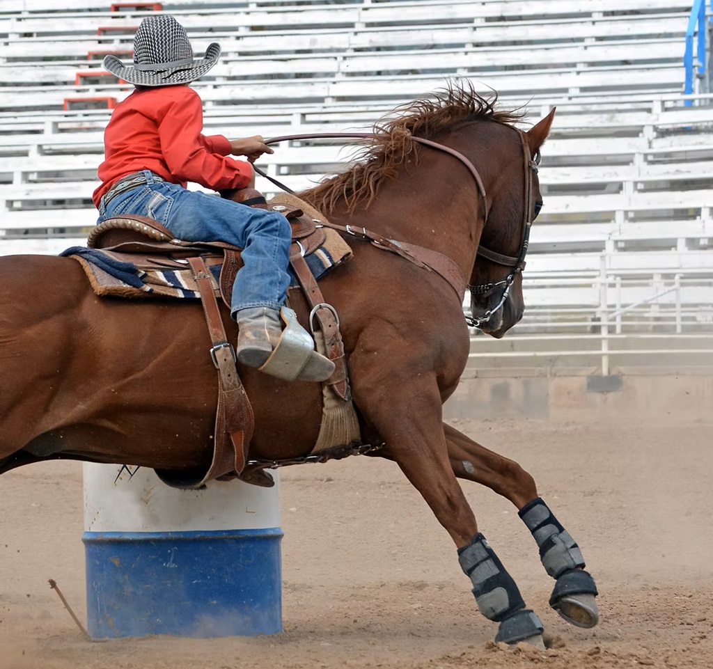 Barrel Racing at the Beaverton Fall Fair
