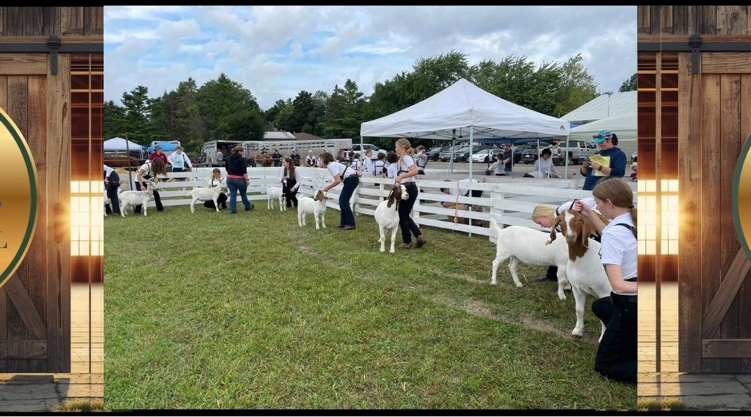 Blackstock Fair Showcase