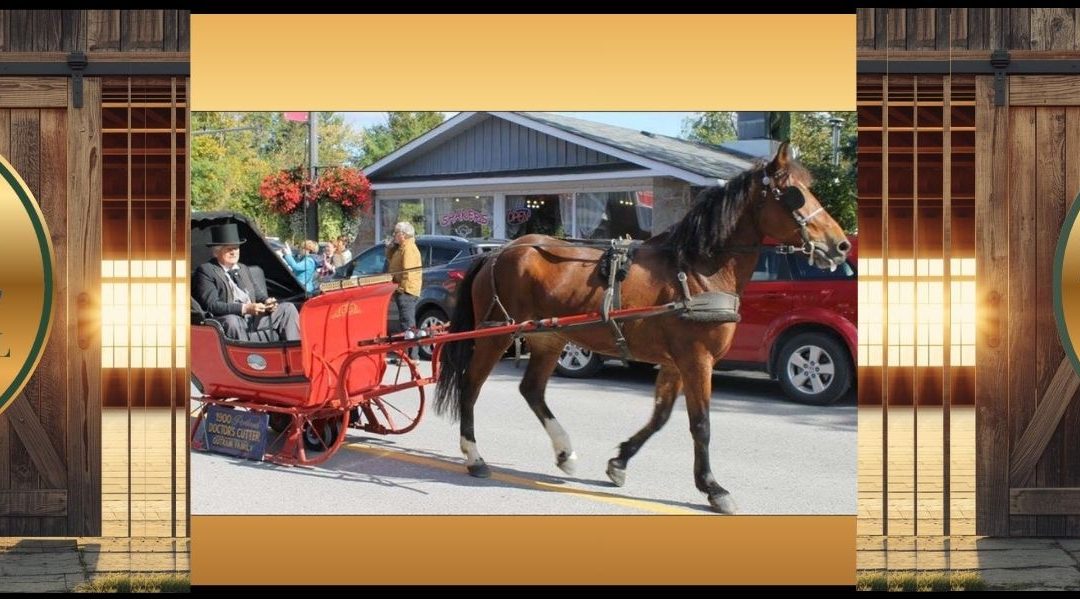 Bobcaygeon Fall Fair