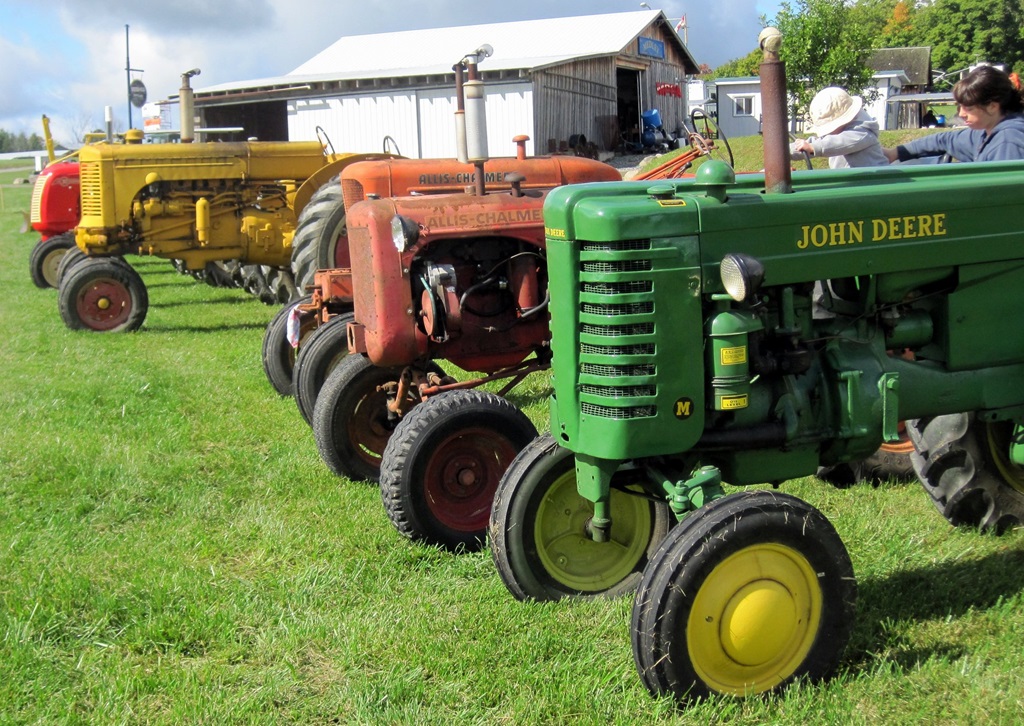 Tractors lined up in a row at the Bracebridge Fall Fair and Horse Show