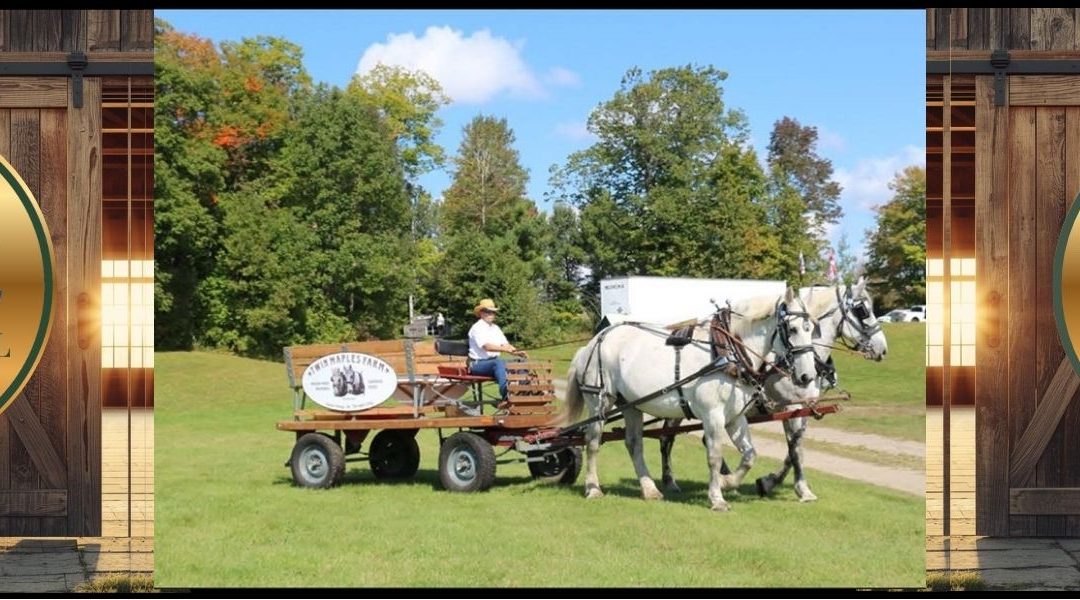 Bracebridge Fall Fair