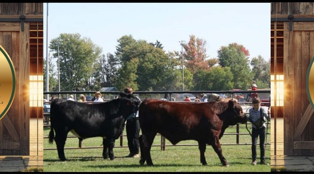Brooke-Alvinston and Watford Fall Fair