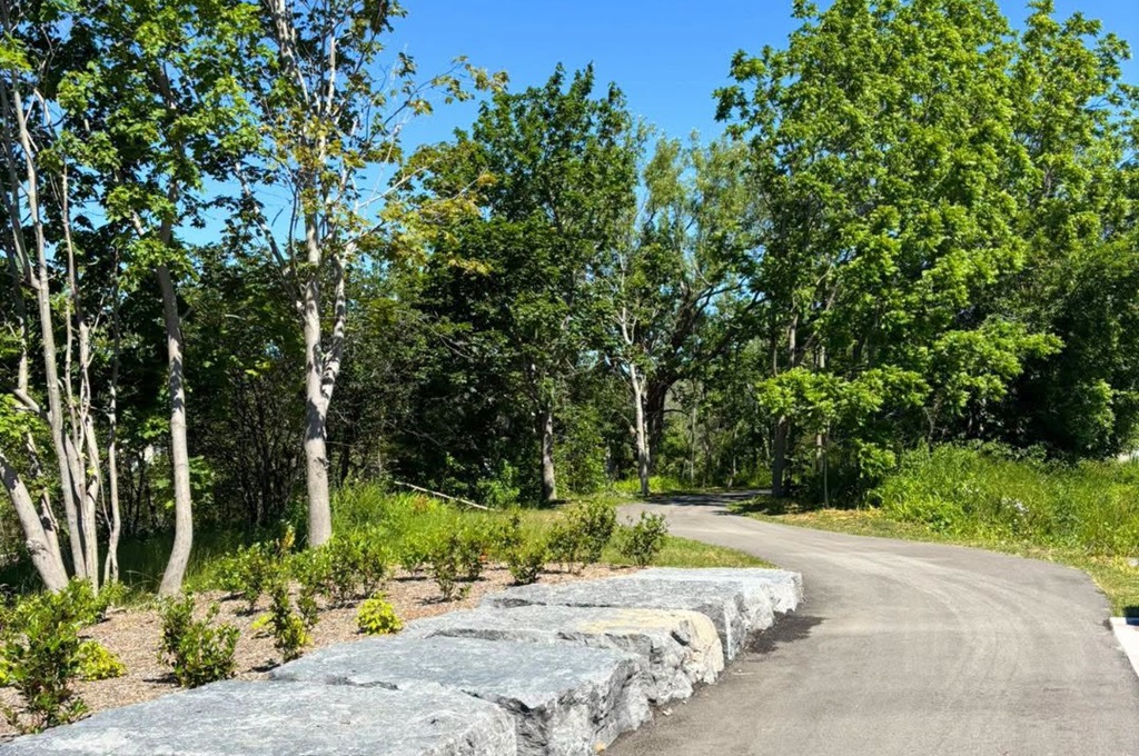 Path
