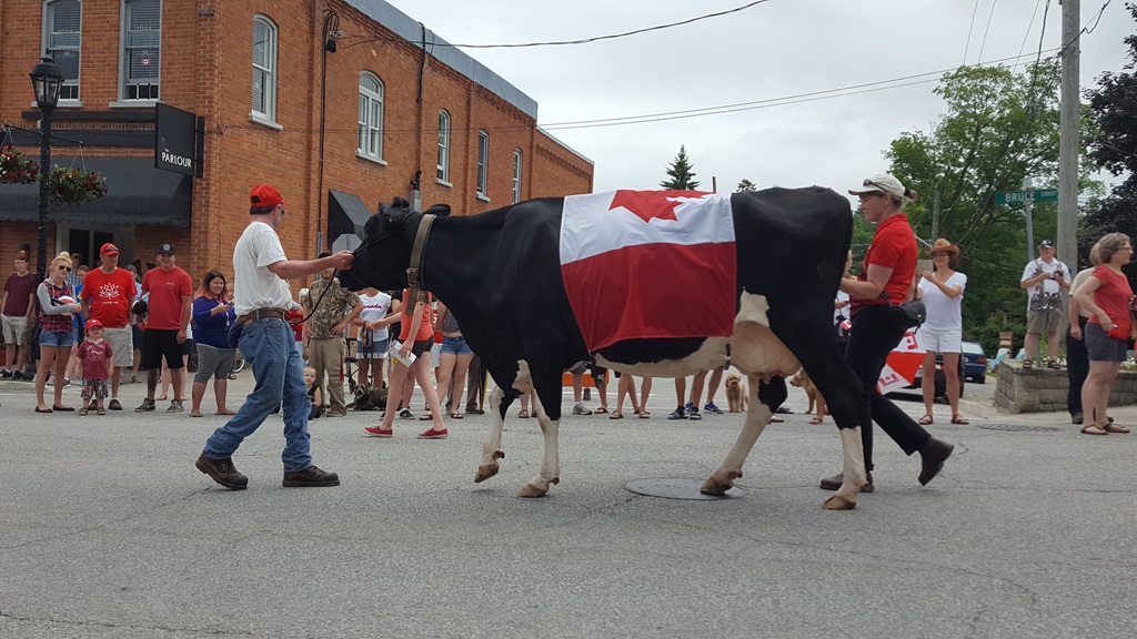 Clarksburg-Thornbury Canada Day Parade