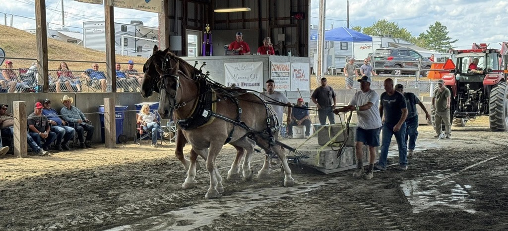 Caledonia Fair