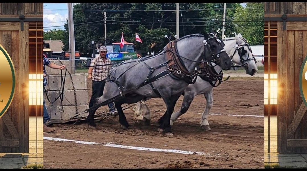 Campbellford Fair Showcase