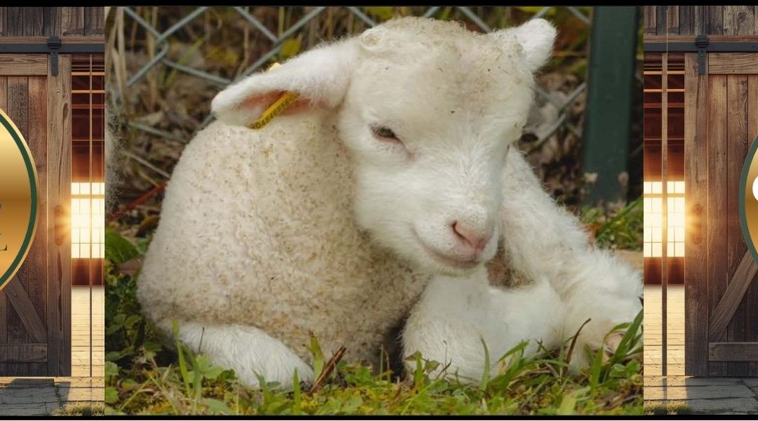 Chatsworth Fall Fair