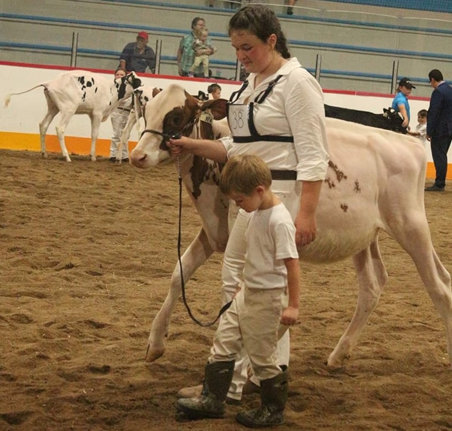 Little boy and (Mom?) leading favourite cow to be judged