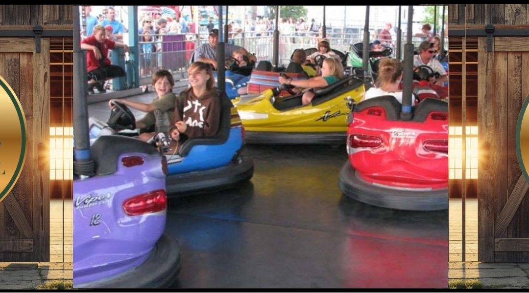 Cobden Fair Showcase