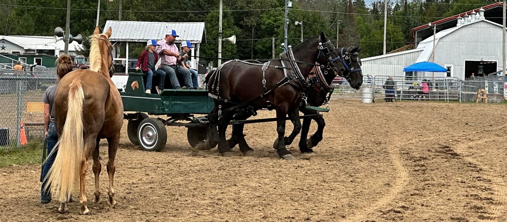 Two Horse Hitch with wagon at the Cow Hill Fair