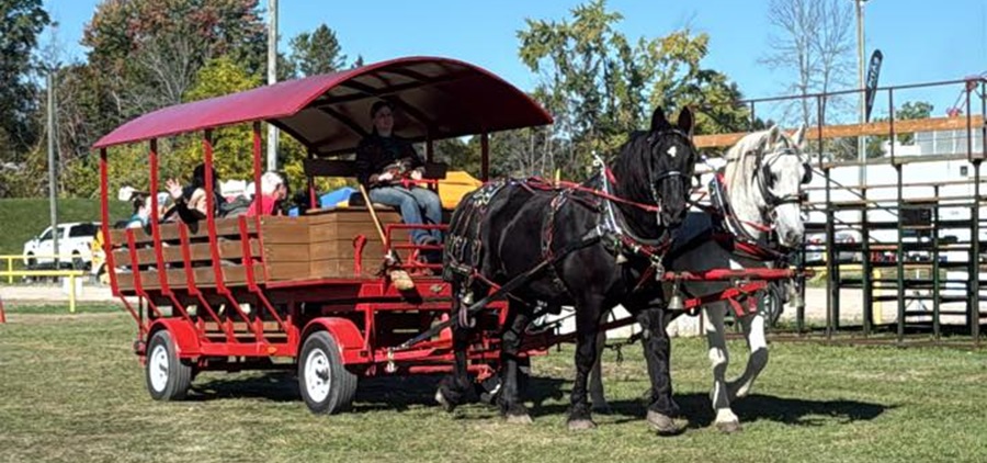 Coldwater Fall Fair