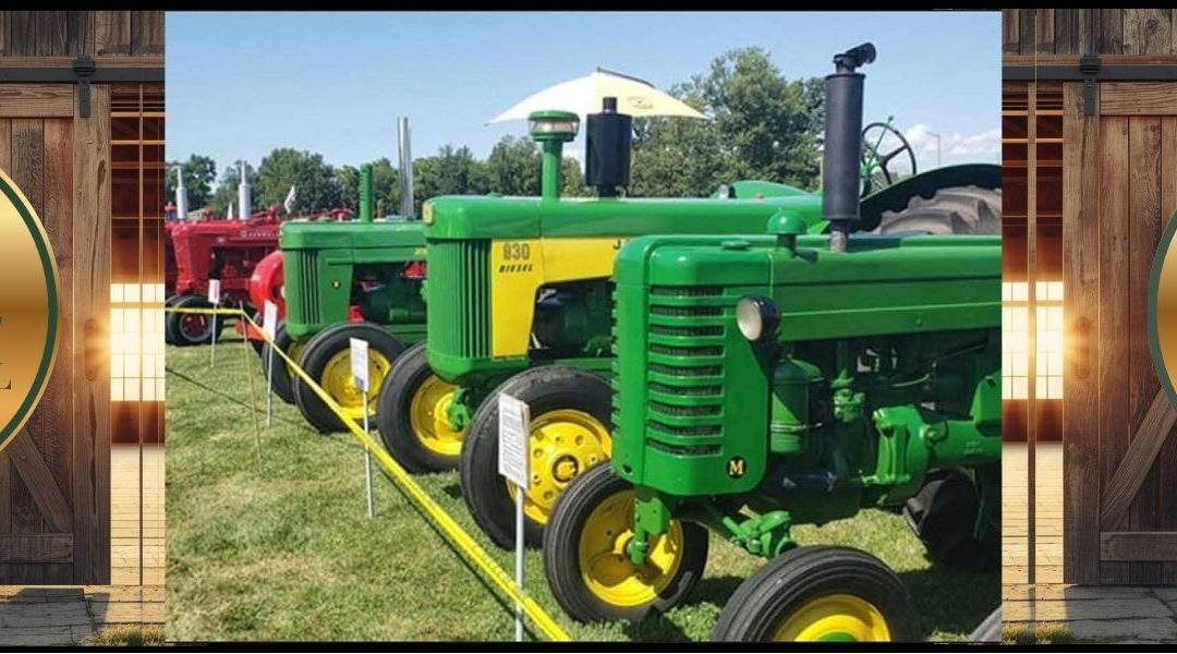 Comber Fair Showcase