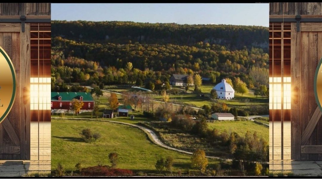 Country Heritage Park’s Summer Fair Showcase