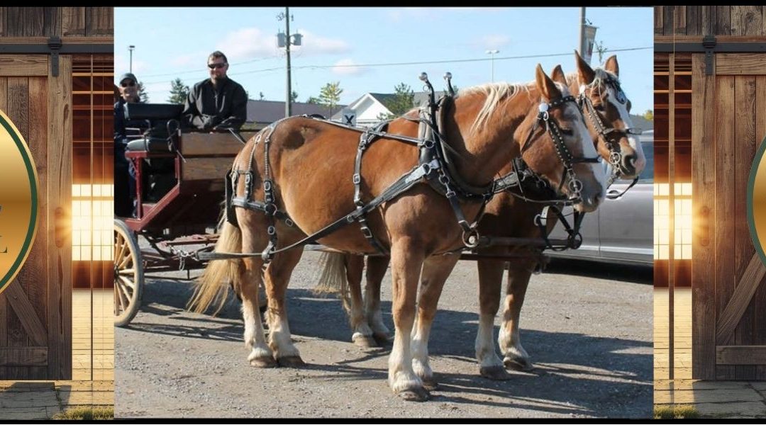 Dorchester Fall Fair