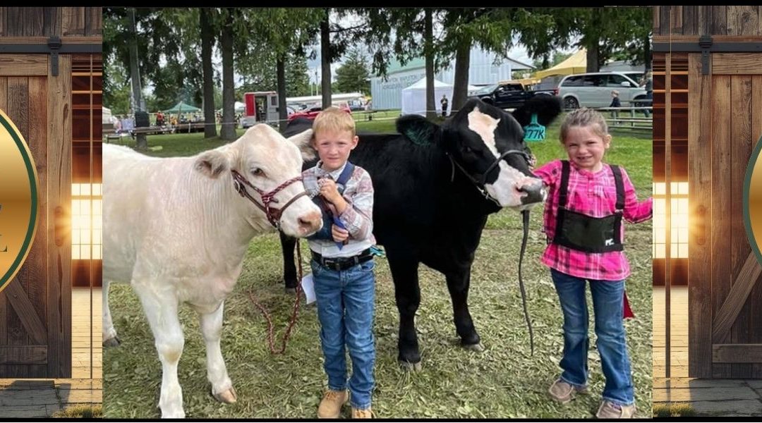 Drayton Mapleton Fair Showcase