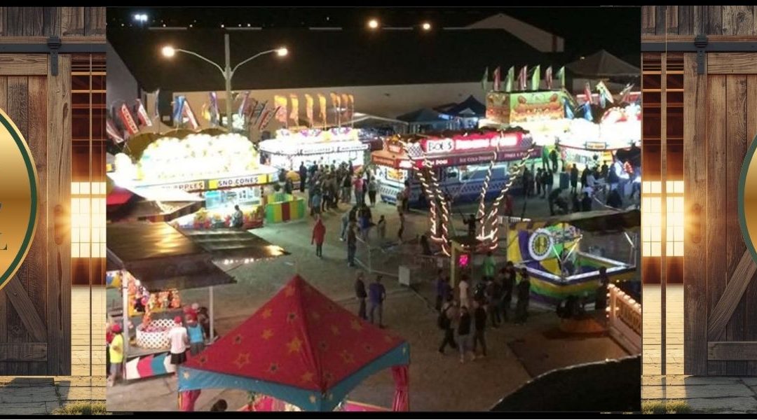 Dryden and District Fall Fair Showcase