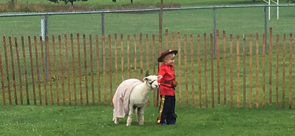Leading the Lamb - Brussels Fall Fair