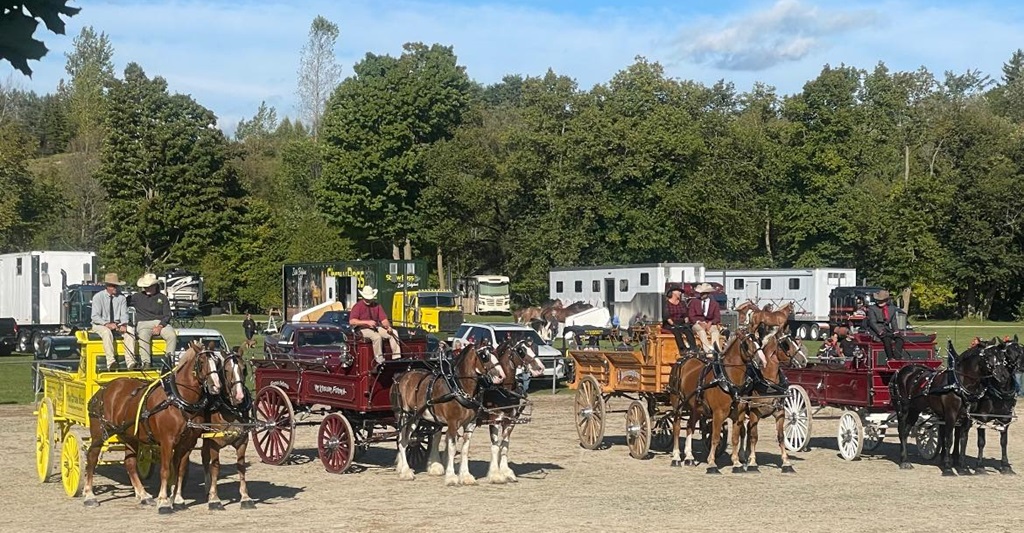 Horse Show - Chesley Fall Fair