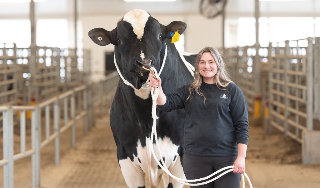 Beef Show - Durham Fall Fair