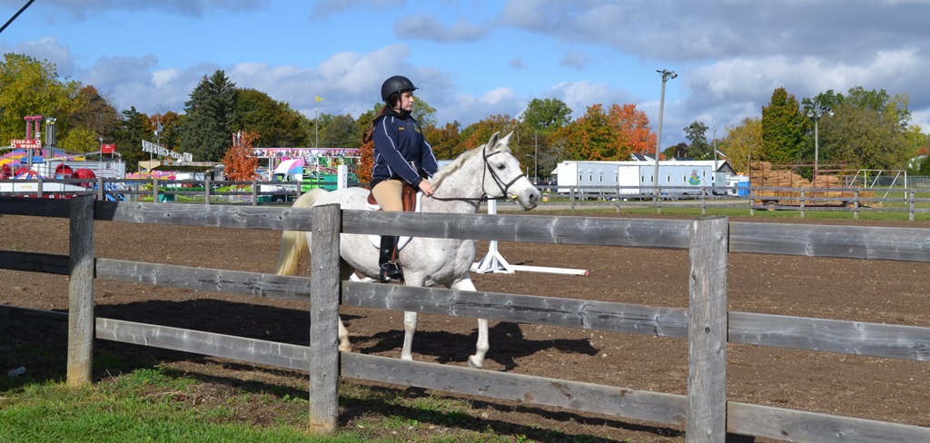 Horse Show - Burford Fair