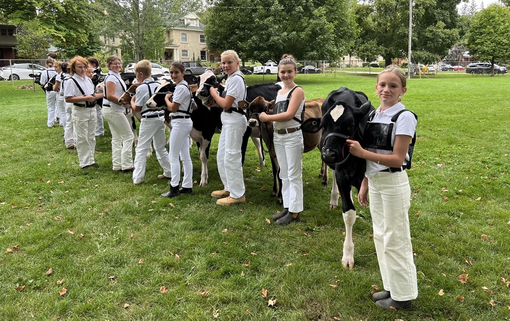 4-H Cattle Show - Cambridge Fall Fair
