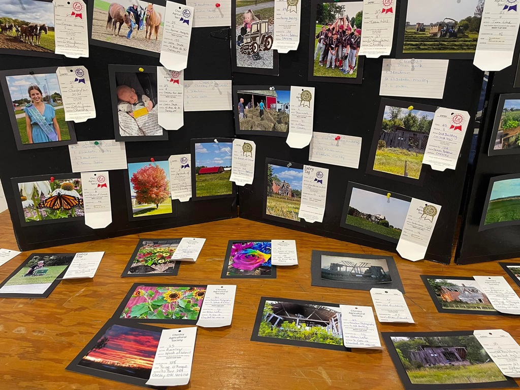 Winners - Chesley Fall Fair