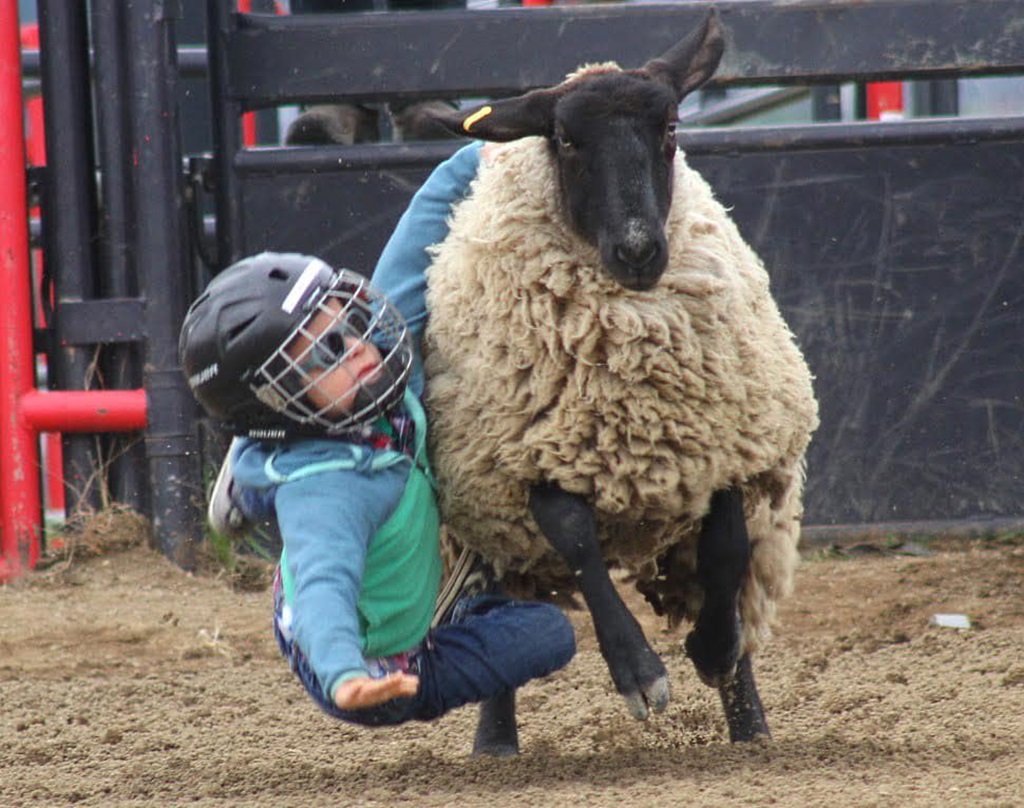 Kid's Ride - Cochrane Fall Fair