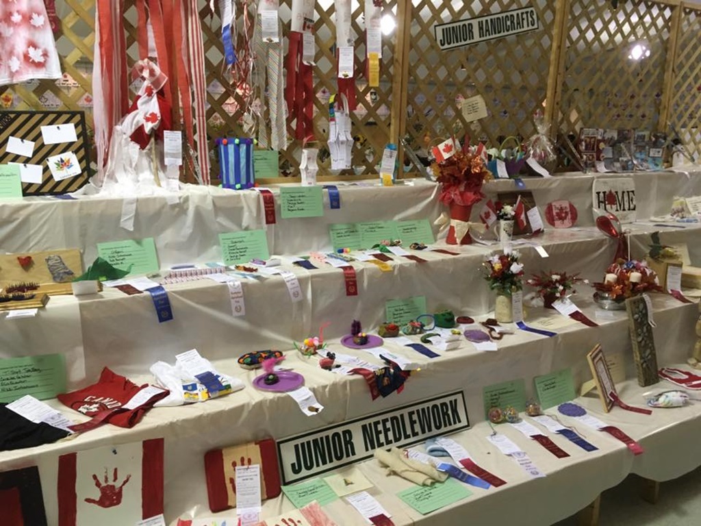 Homecraft Display - Brampton Fall Fair